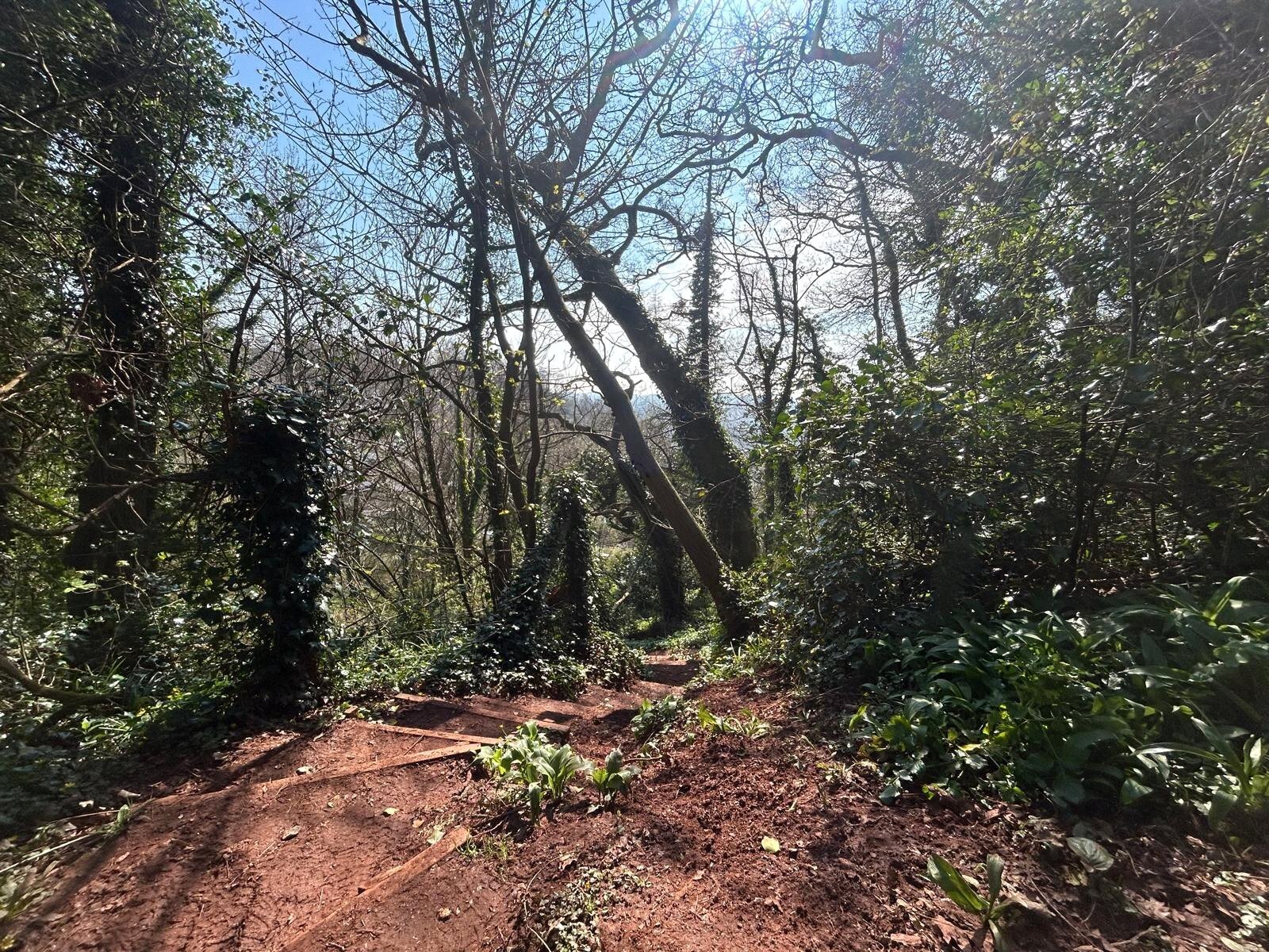 Torquay, Devon, TQ2