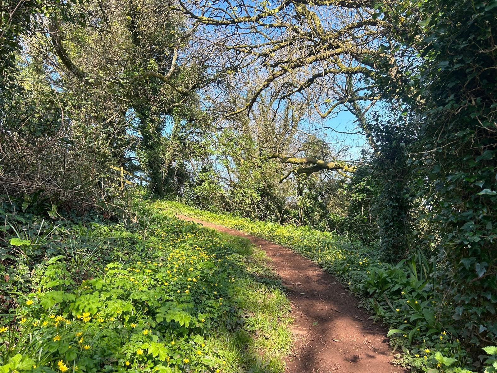 Torquay, Devon, TQ2