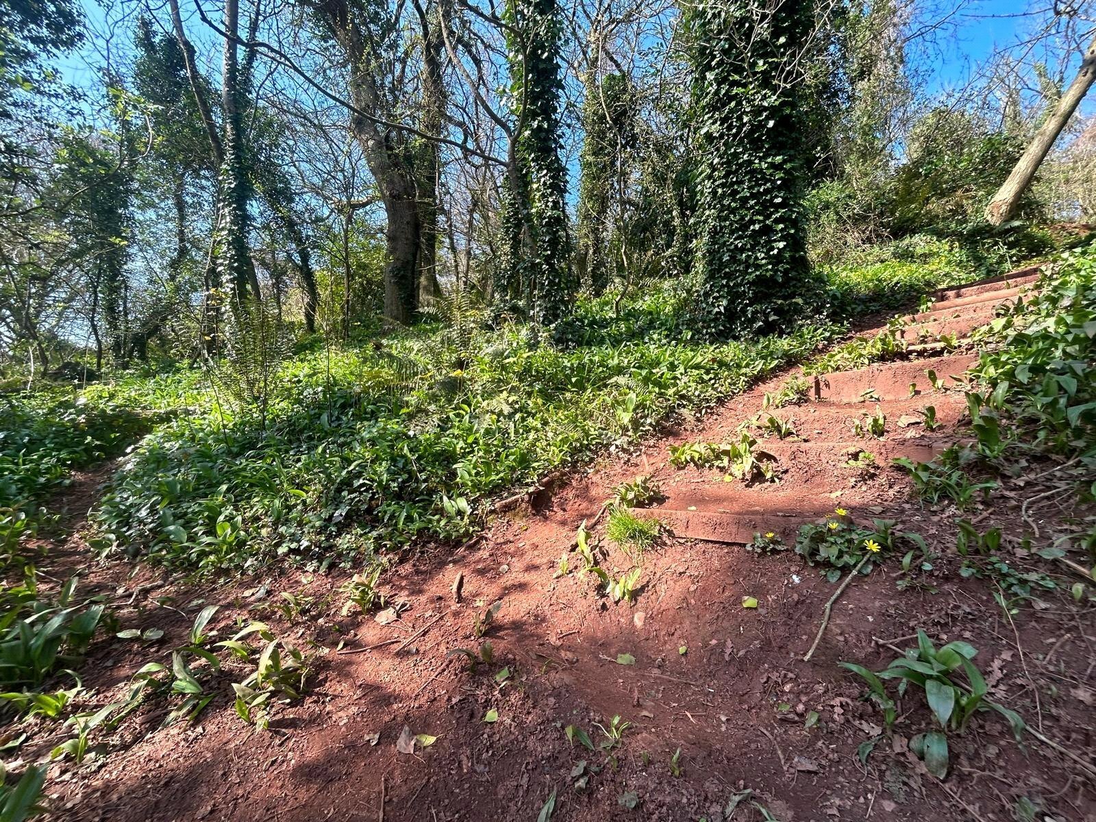 Torquay, Devon, TQ2