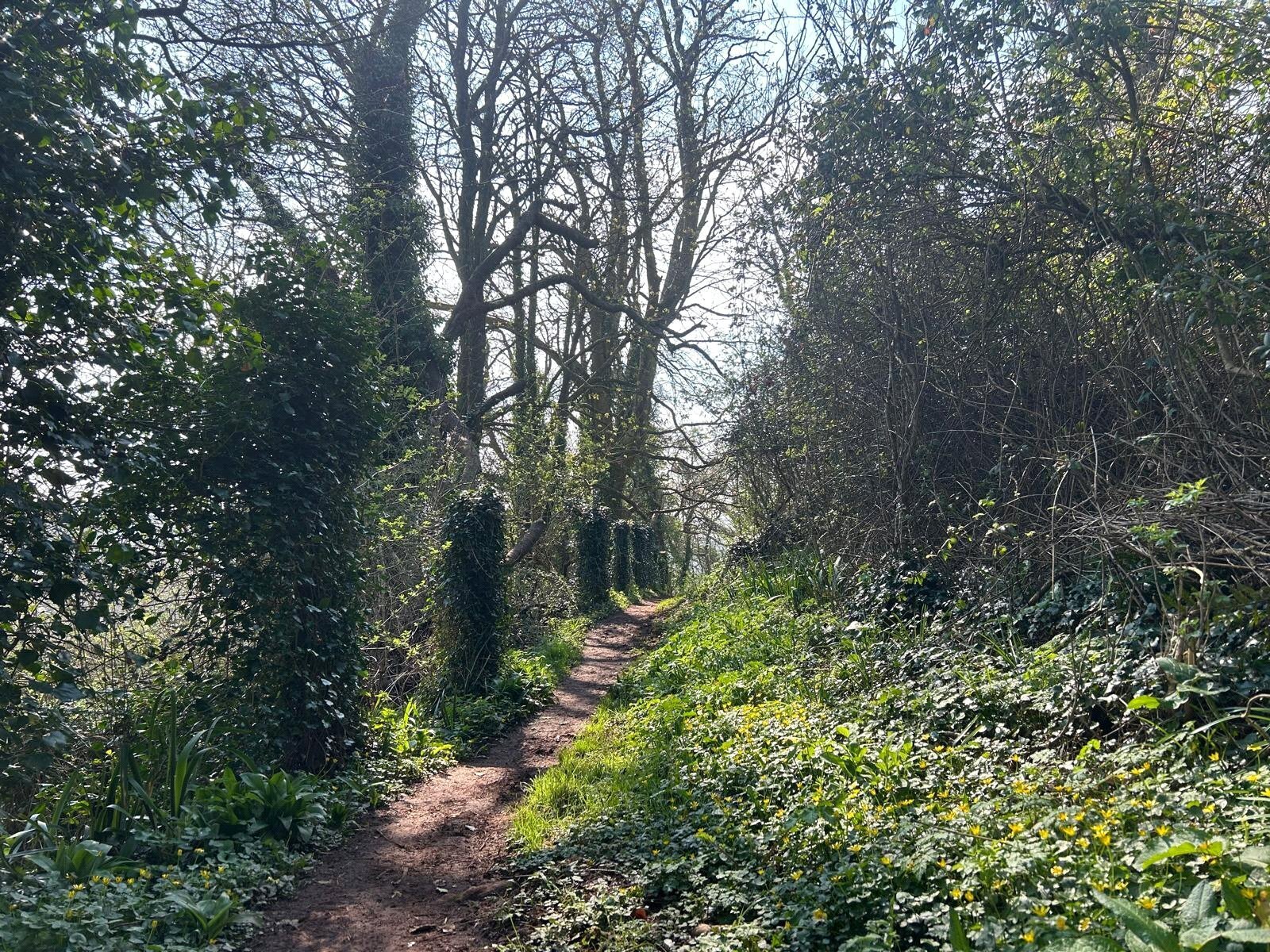 Torquay, Devon, TQ2