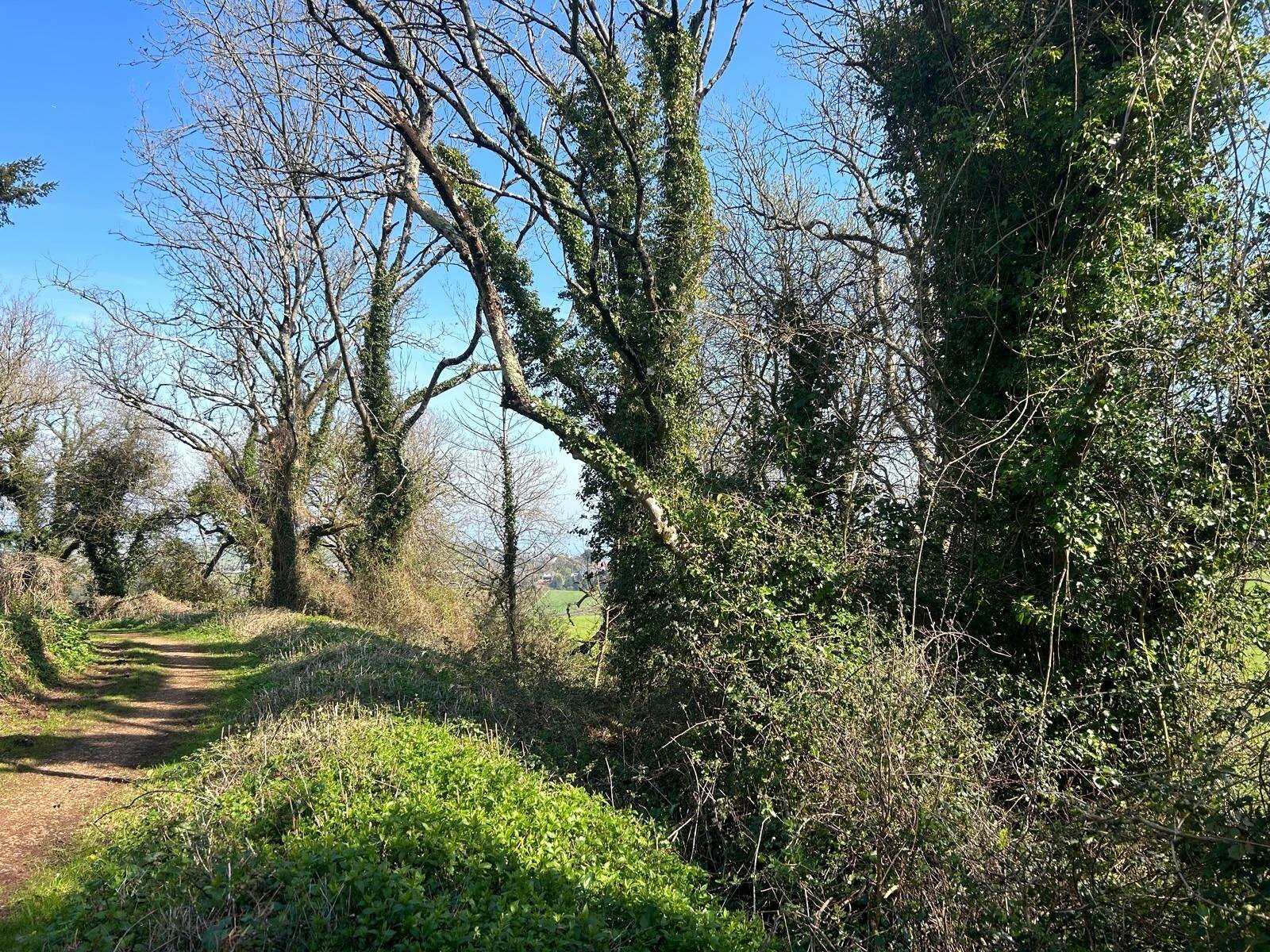 Torquay, Devon, TQ2