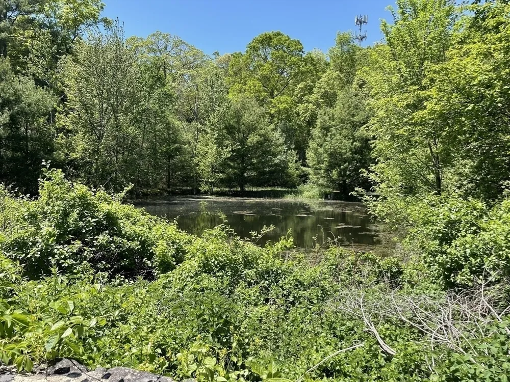 2 Stonegate Ln, Dover, MA 02030
