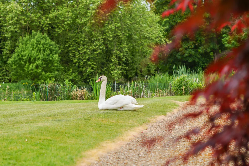 Loudwater Lane, Rickmansworth, WD3 photo 13