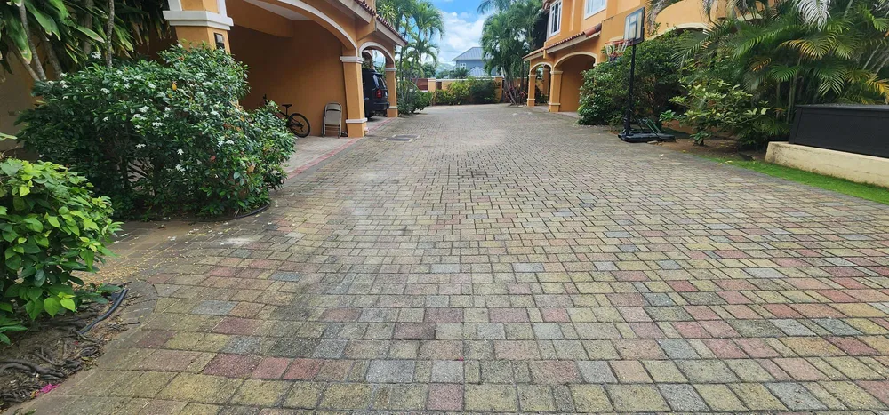 MELWOOD AVENUE Kingston  St. Andrew