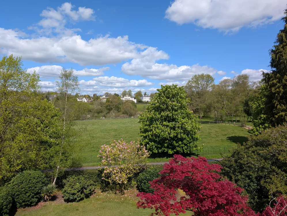 Hungershall Park, Tunbridge Wells, TN4 photo 5