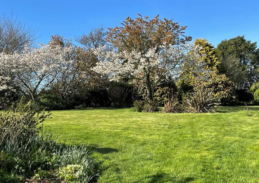 Property Image 45