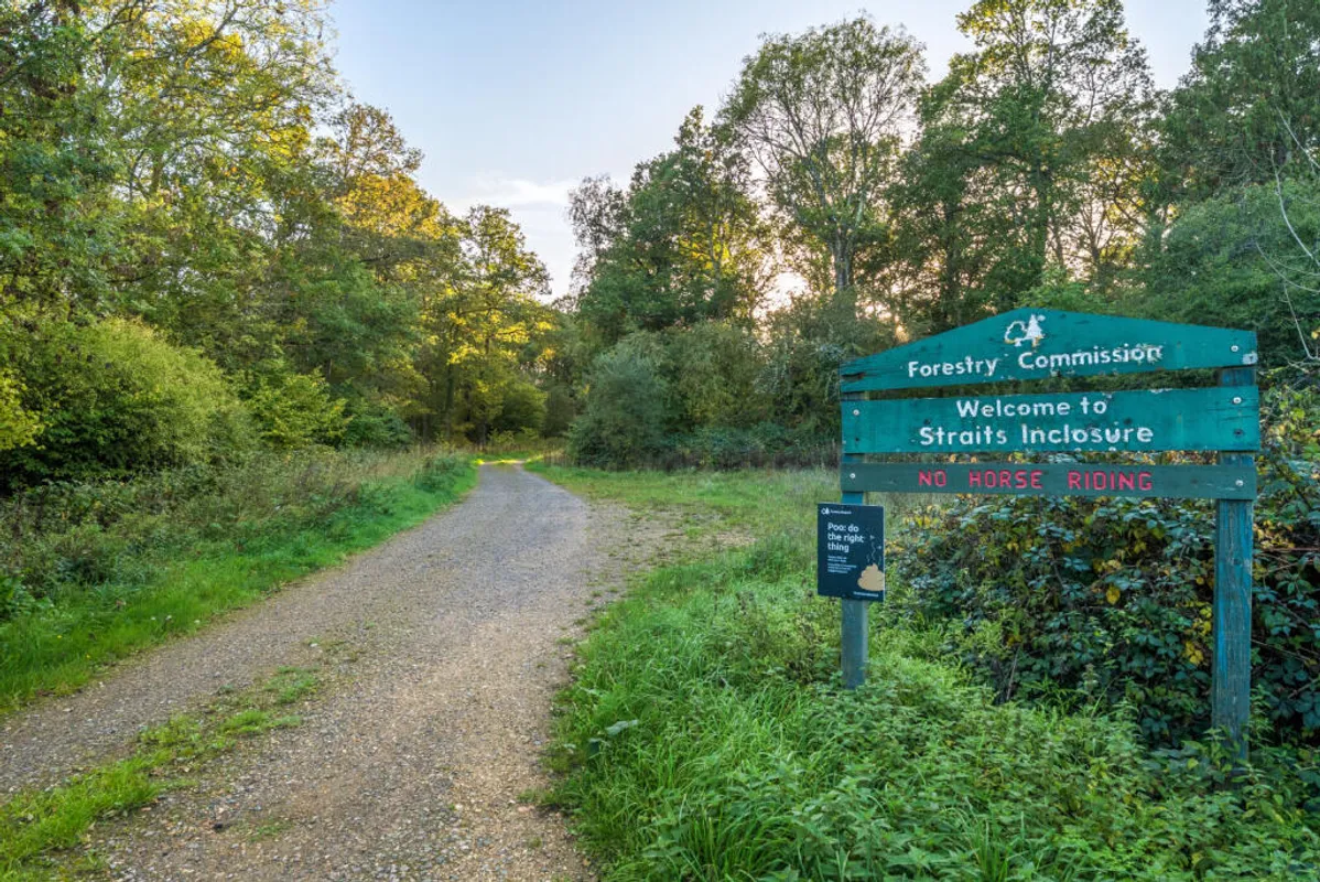 Frith End Road, Frith End, Near Farnham, GU35