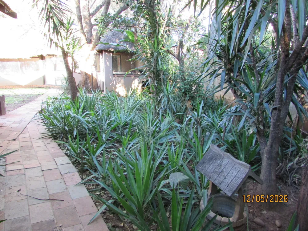 South Africa, North West, Melodie, Annaboom street, 15