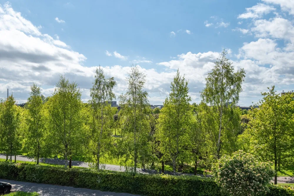1 Park Lane, Clongriffin, Dublin 13, D13H9PW
