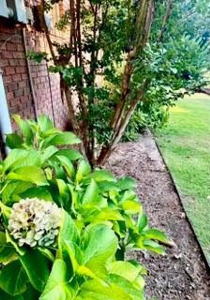 71 Greystone Ct, Smiths Station, AL 36877