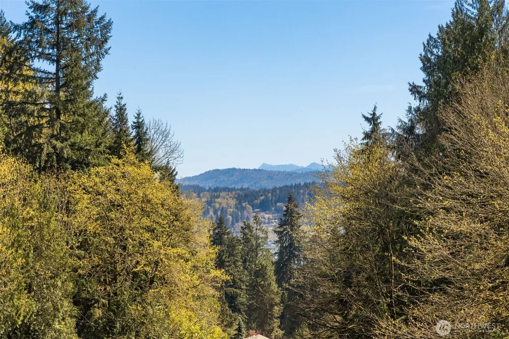 243 169th Ave NE, Bellevue, WA 98008
