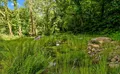 Property image gallery