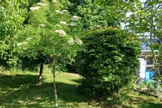 The Blundens, Stoke By Nayland, Colchester