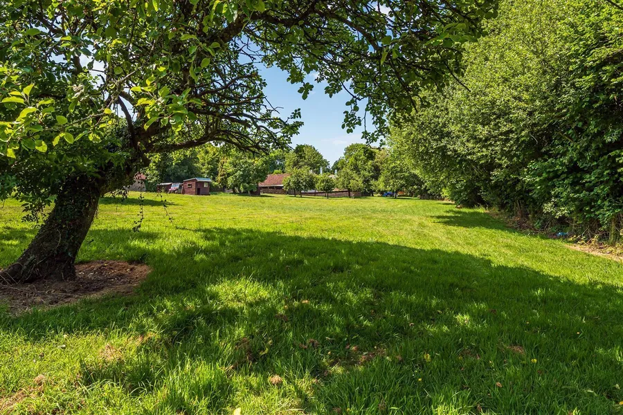 Property Image 45