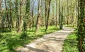 Property image gallery