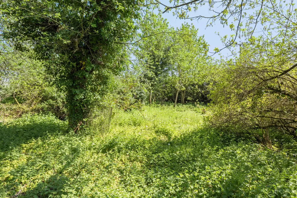 Fifield, Enford, SN9 photo 8
