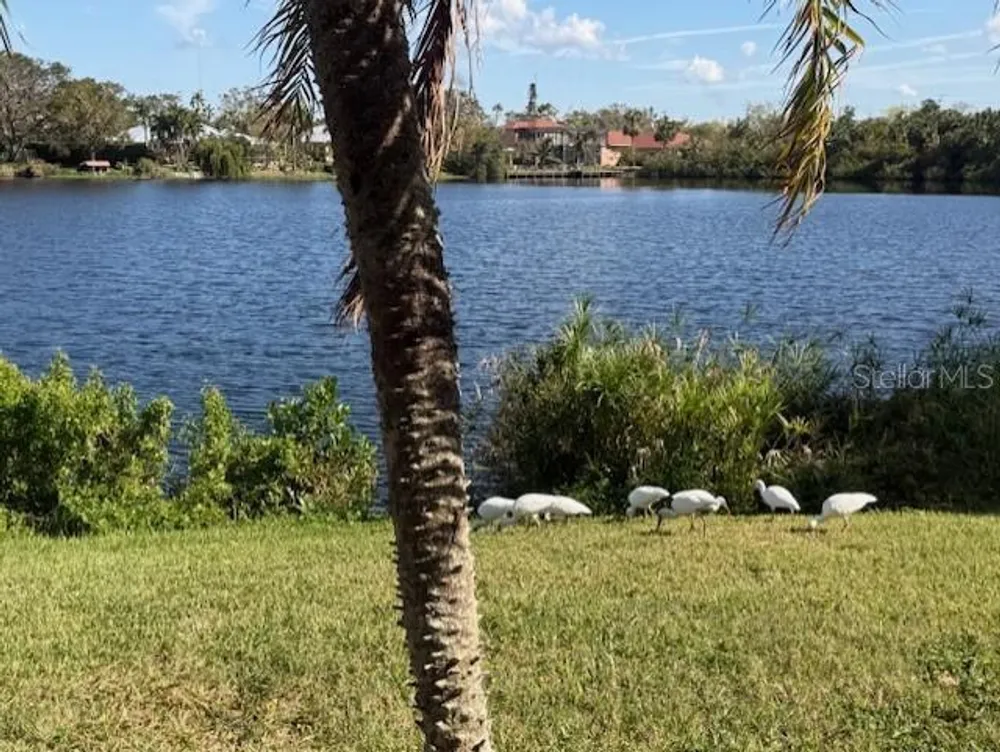 220 Lakewood Dr, Bradenton, FL 34210