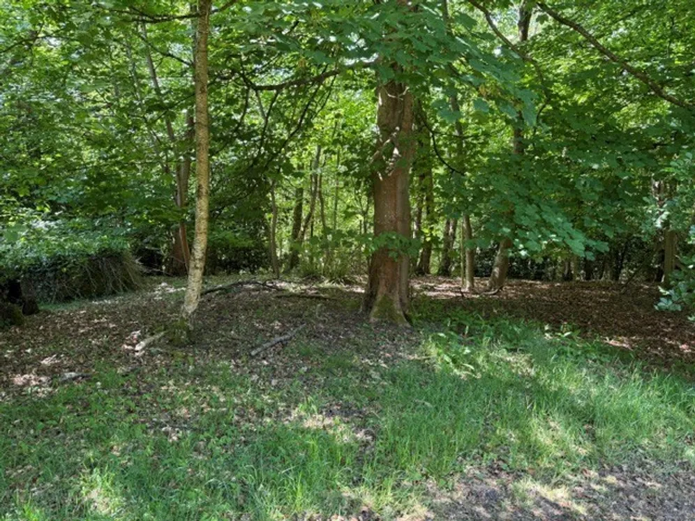 Church Lane, Ewshot, Farnham, GU10 photo 20
