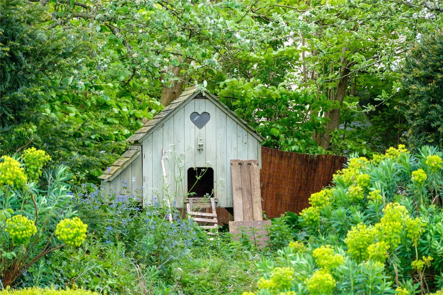 Powerstock, Bridport, DT6 photo 57