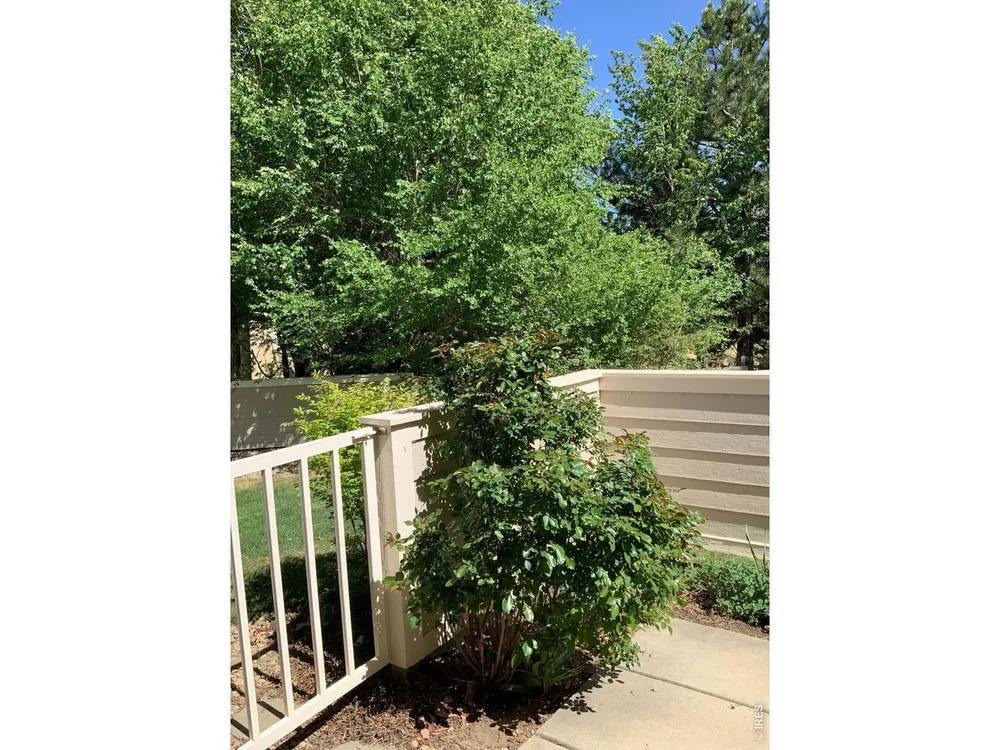 907 HOVER RIDGE CIR, Longmont, CO 80501