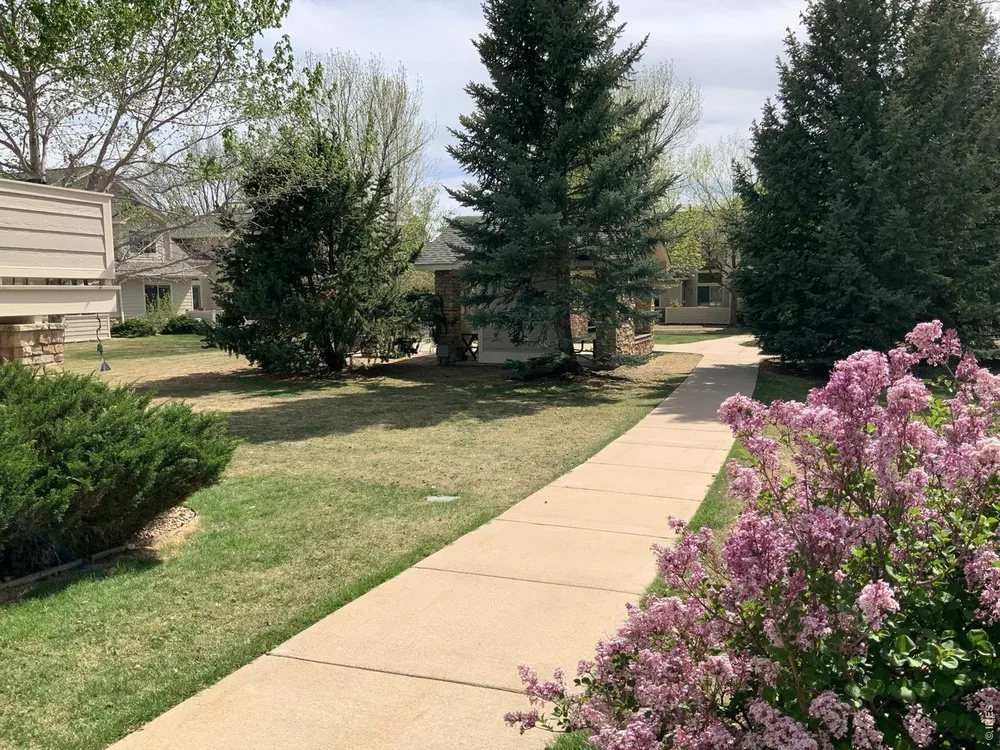907 HOVER RIDGE CIR, Longmont, CO 80501
