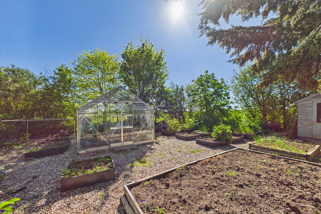 Bungay Road, Loddon Image 22