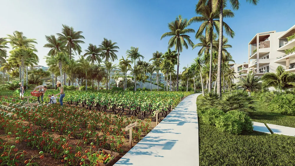 Punta Cana