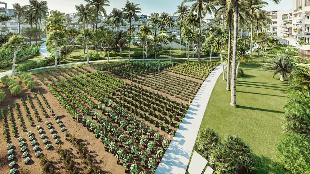 Punta Cana