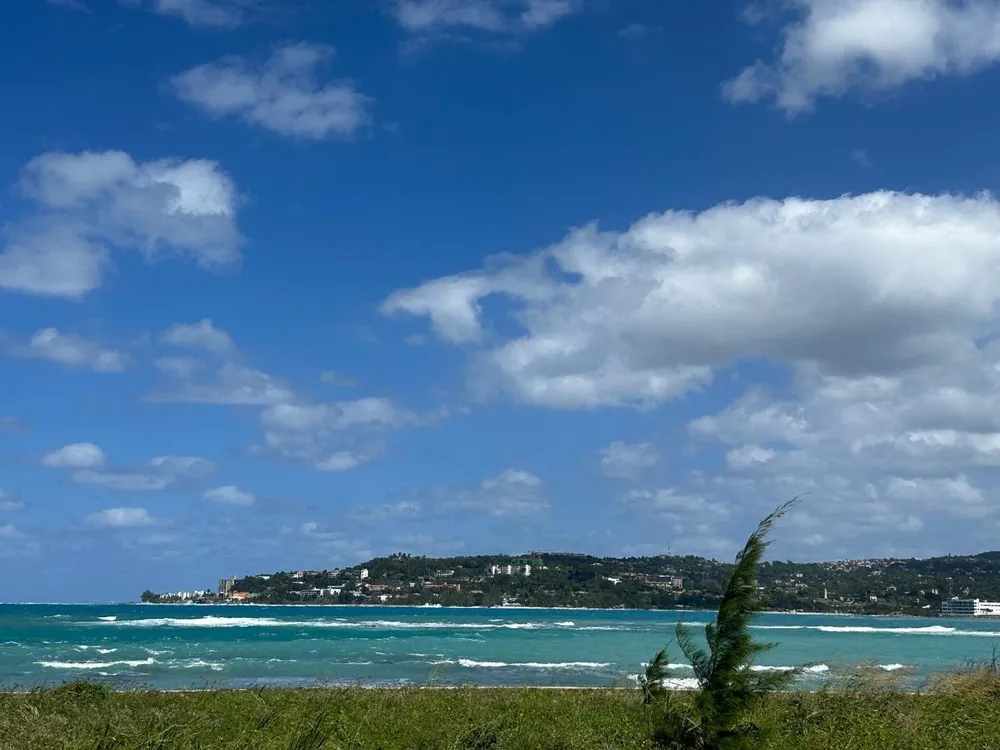 PRISTINE HARBOUR St. James