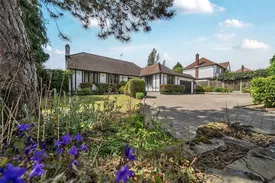 Property responsive
