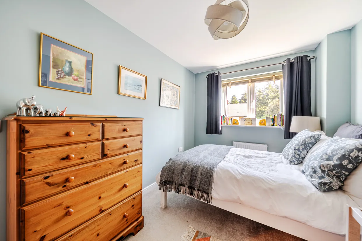 Eyden Gardens, Medstead, GU34 photo 8
