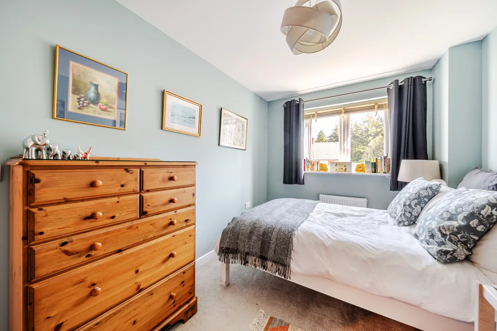 Eyden Gardens, Medstead, GU34 photo 8