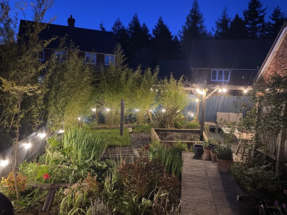 Eyden Gardens, Medstead, GU34 photo 10