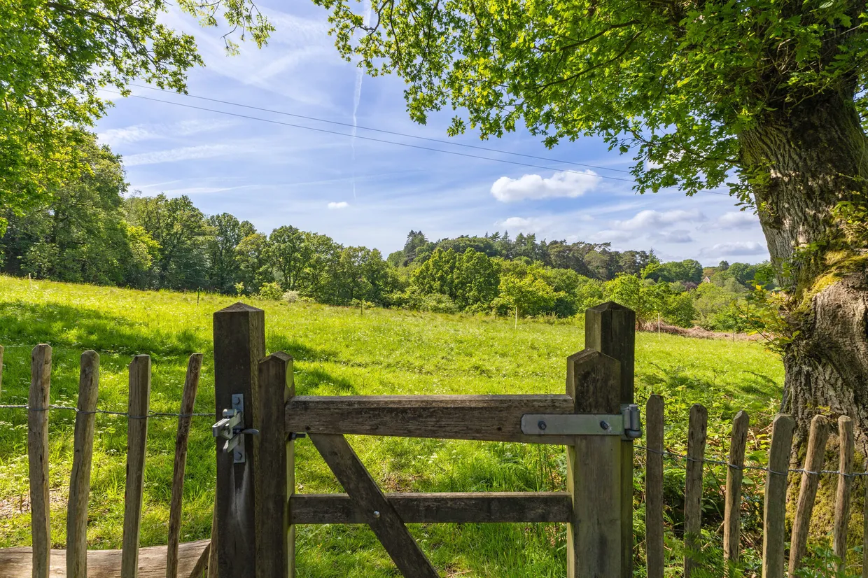 Marley Lane, Haslemere, GU27 photo 14