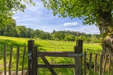 Marley Lane, Haslemere, GU27 photo 14