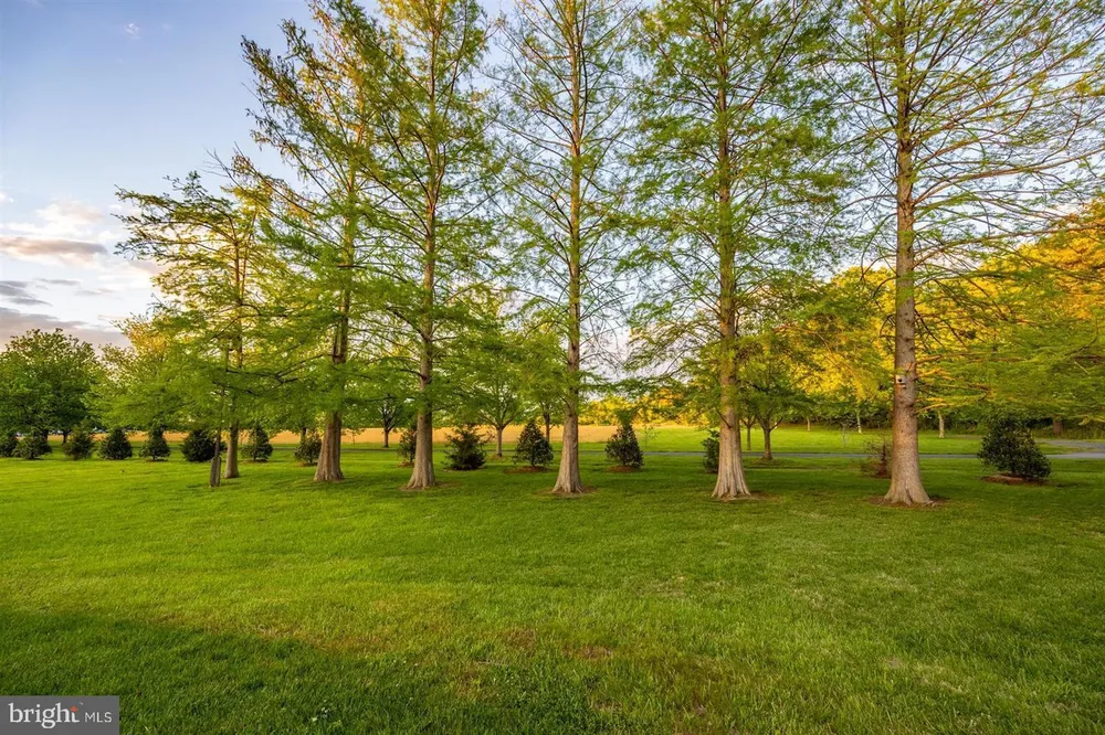 162 Kirwans Landing Ln, Chester, MD 21619