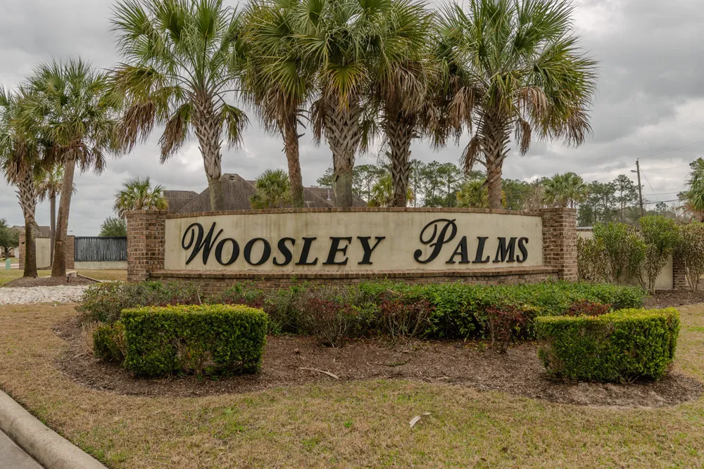 112 Pindo Palm Dr, Lumberton, TX 77657