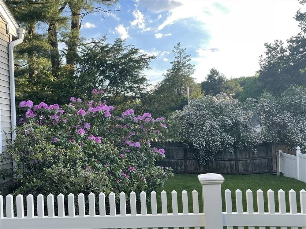 77 Cedar St, Wellesley, MA 02481