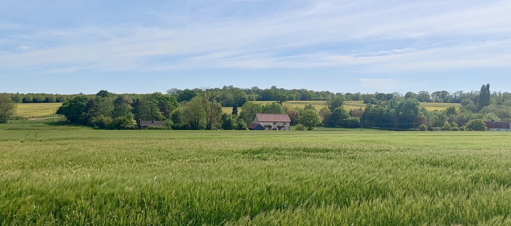 Cookley Street, Cookley, Halesworth Image 3