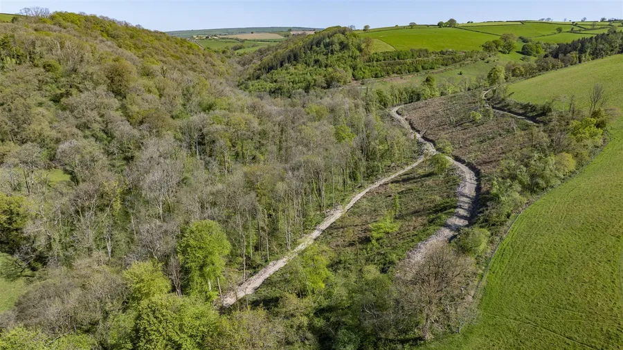 Property Image 35