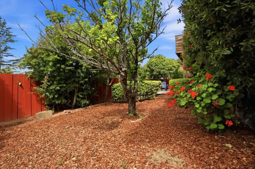 3028 Greenoak Ct, San Mateo, CA 94403