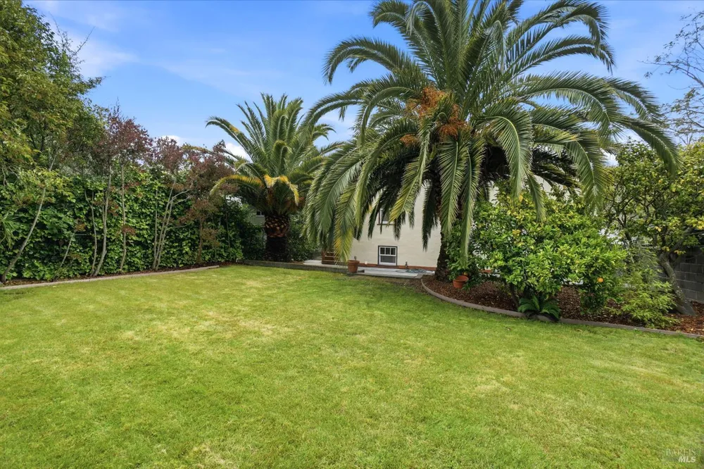 283 E Blithedale Ave, Mill Valley, CA 94941