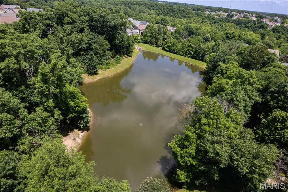 165 Carlton Point Dr, Wentzville, MO 63385