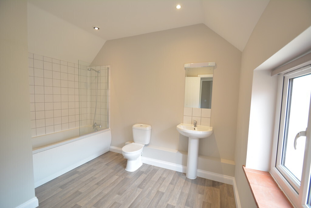 Hall Road, Haddiscoe, Norwich Image 13