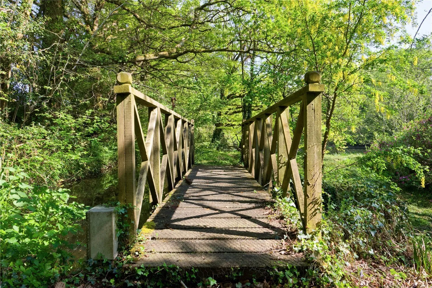 Forton, Chard, TA20 photo 31