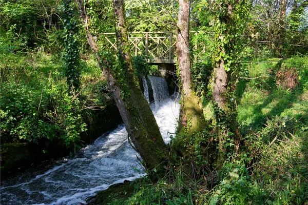 Forton, Chard, TA20 photo 32