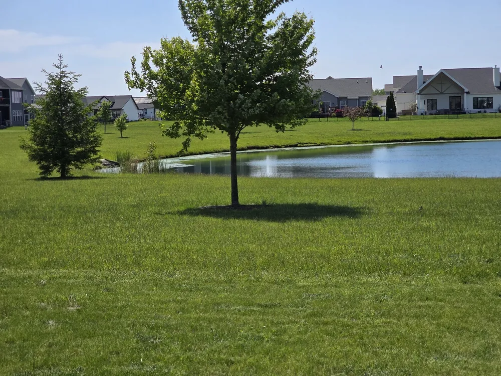 1417 Fieldstone Dr, Savoy, IL 61874