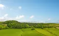 Property image gallery