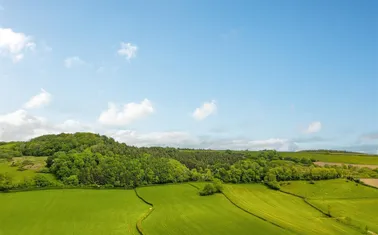 Colyton, East Devon