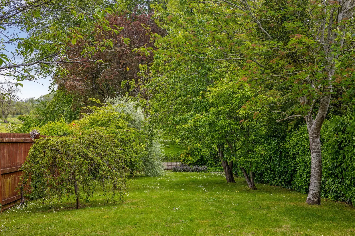 Harnham Road, Salisbury, SP2 photo 15